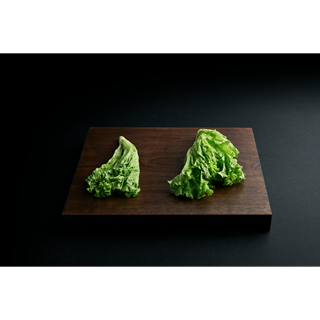 AEG - Vstavaná chladnička s mrazničkou - SCB618F6TS AEG - Vstavaná chladnička s mrazničkou - SCB618F6TS